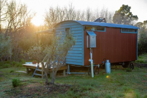 Silvergreen Shepherds hut